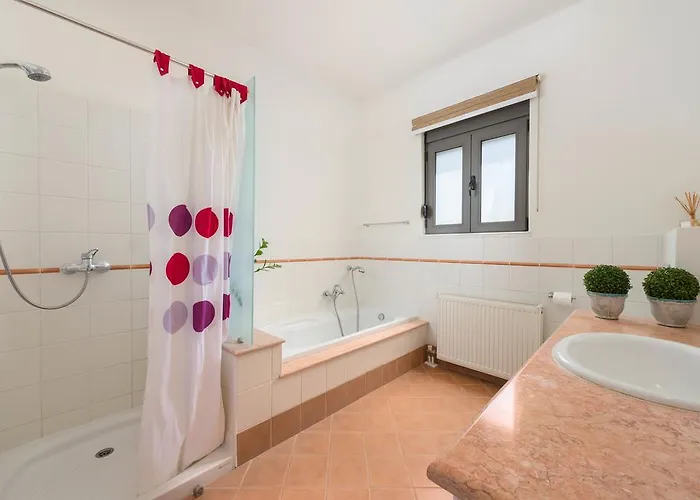 فيلة Blue & View